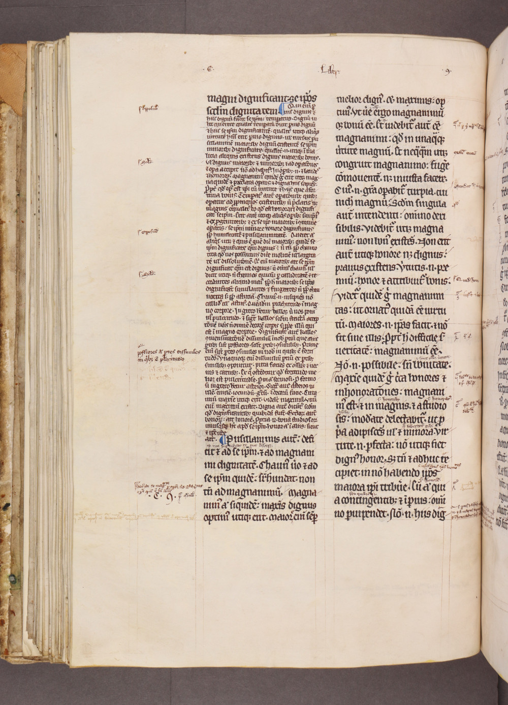 Folio 74 verso